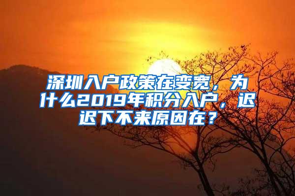 深圳入户政策在变宽，为什么2019年积分入户，迟迟下不来原因在？