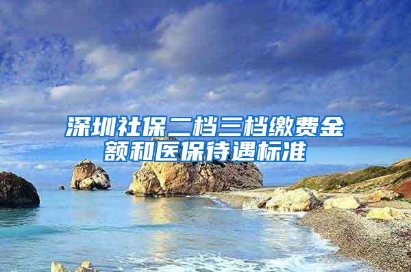 深圳社保二档三档缴费金额和医保待遇标准