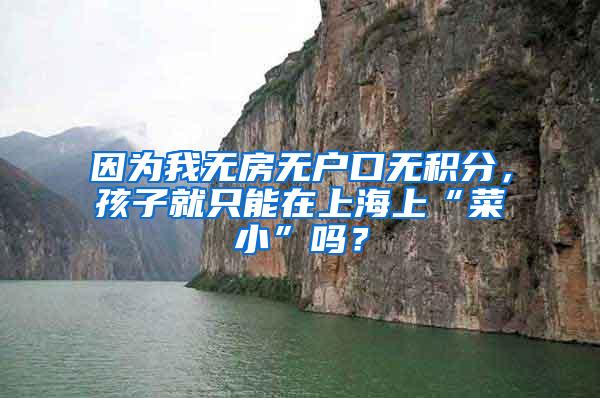 因为我无房无户口无积分，孩子就只能在上海上“菜小”吗？