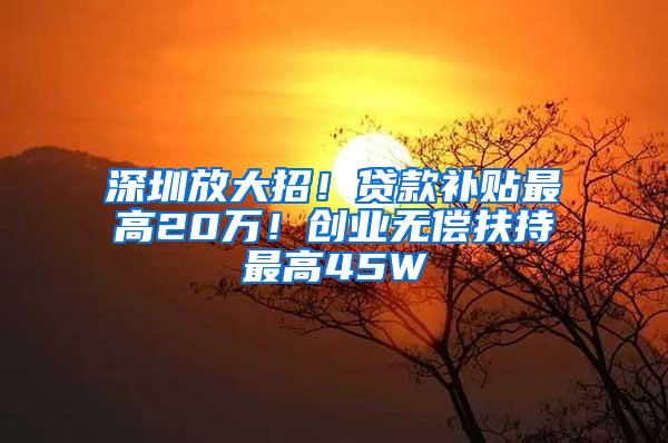 深圳放大招！贷款补贴最高20万！创业无偿扶持最高45W