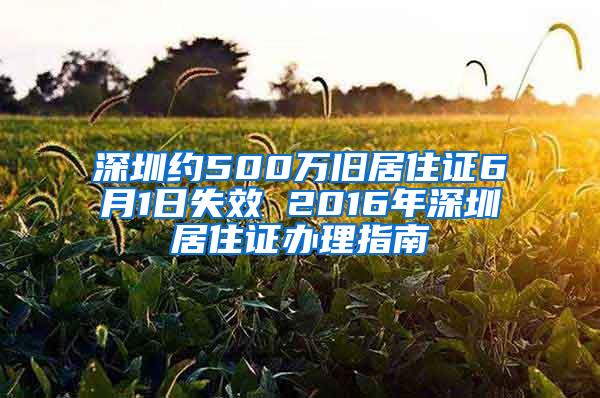 深圳约500万旧居住证6月1日失效 2016年深圳居住证办理指南