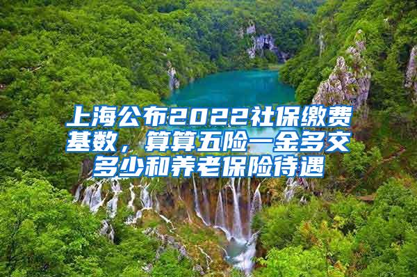 上海公布2022社保缴费基数，算算五险一金多交多少和养老保险待遇