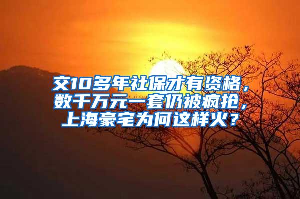 交10多年社保才有资格，数千万元一套仍被疯抢，上海豪宅为何这样火？