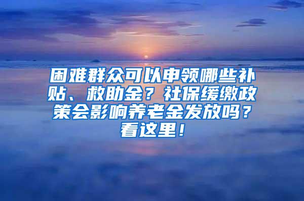 困难群众可以申领哪些补贴、救助金？社保缓缴政策会影响养老金发放吗？看这里！