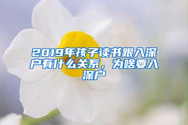 2019年孩子读书跟入深户有什么关系，为啥要入深户