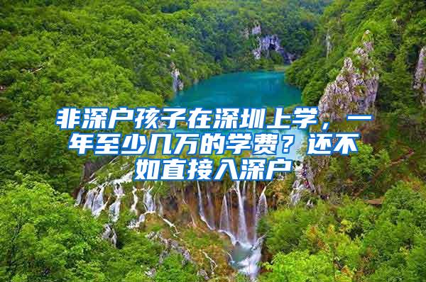 非深户孩子在深圳上学，一年至少几万的学费？还不如直接入深户