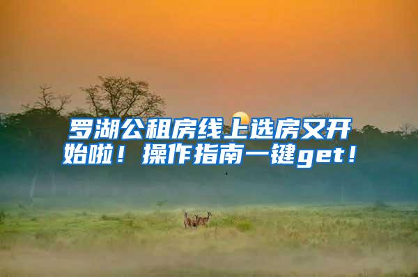 罗湖公租房线上选房又开始啦！操作指南一键get！