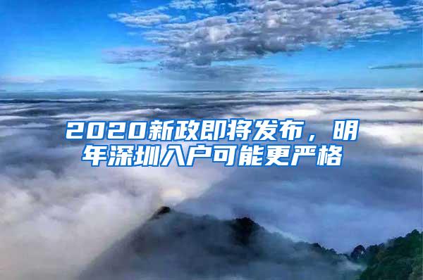 2020新政即将发布，明年深圳入户可能更严格