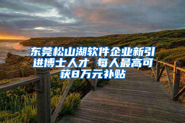 东莞松山湖软件企业新引进博士人才 每人最高可获8万元补贴