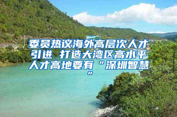 委员热议海外高层次人才引进 打造大湾区高水平人才高地要有“深圳智慧”