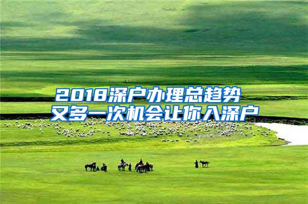 2018深户办理总趋势 又多一次机会让你入深户