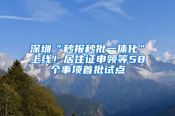 深圳“秒报秒批一体化”上线！居住证申领等58个事项首批试点