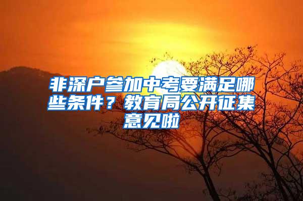 非深户参加中考要满足哪些条件？教育局公开征集意见啦