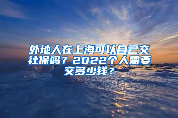 外地人在上海可以自己交社保吗？2022个人需要交多少钱？