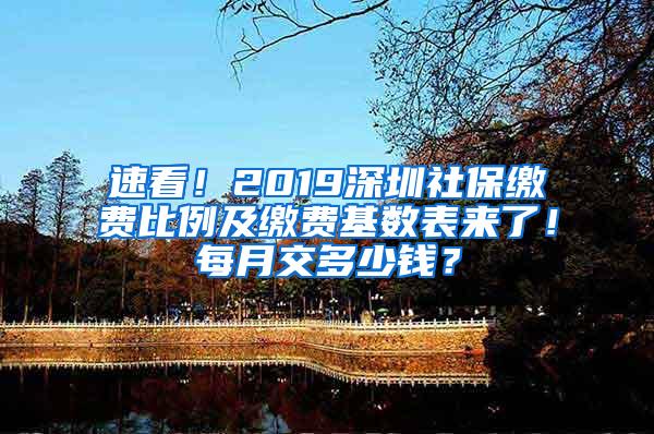 速看！2019深圳社保缴费比例及缴费基数表来了！每月交多少钱？