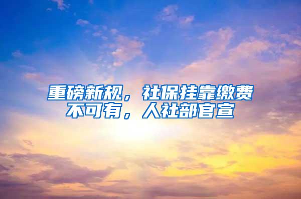 重磅新规，社保挂靠缴费不可有，人社部官宣