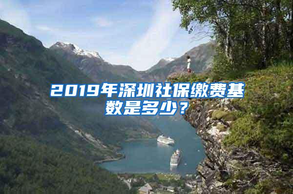 2019年深圳社保缴费基数是多少？