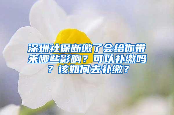 深圳社保断缴了会给你带来哪些影响？可以补缴吗？该如何去补缴？