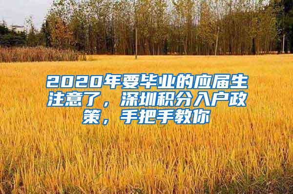 2020年要毕业的应届生注意了，深圳积分入户政策，手把手教你