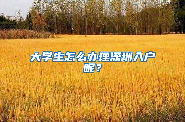 大学生怎么办理深圳入户呢？