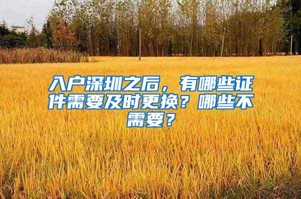 入户深圳之后，有哪些证件需要及时更换？哪些不需要？