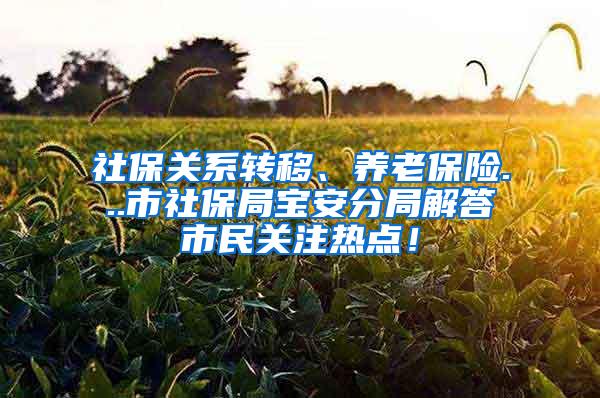 社保关系转移、养老保险...市社保局宝安分局解答市民关注热点！