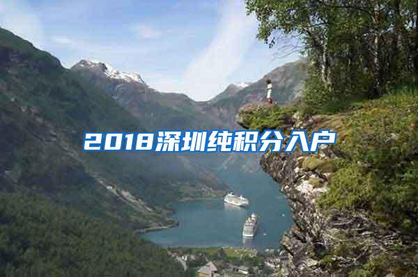 2018深圳纯积分入户