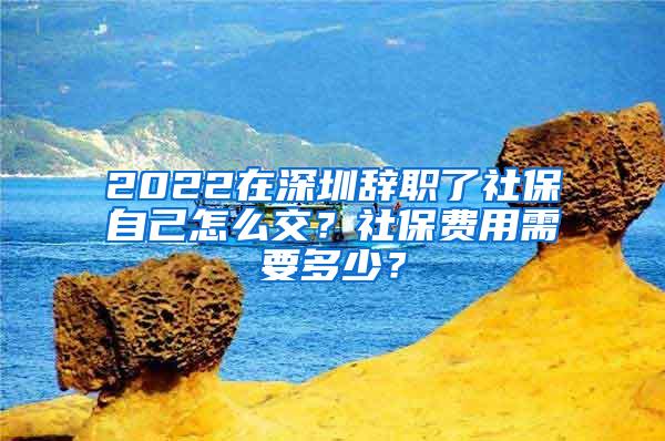 2022在深圳辞职了社保自己怎么交？社保费用需要多少？