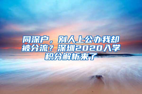 同深户，别人上公办我却被分流？深圳2020入学积分解析来了