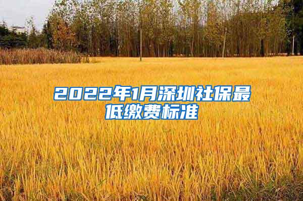 2022年1月深圳社保最低缴费标准