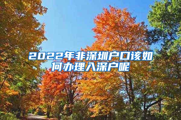 2022年非深圳户口该如何办理入深户呢