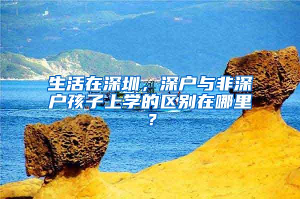 生活在深圳，深户与非深户孩子上学的区别在哪里？