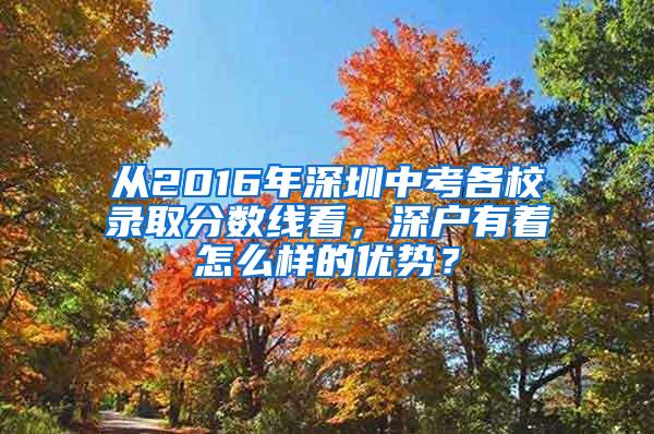 从2016年深圳中考各校录取分数线看，深户有着怎么样的优势？