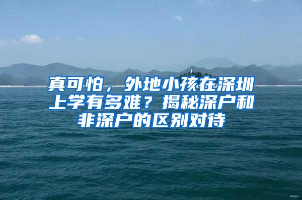 真可怕，外地小孩在深圳上学有多难？揭秘深户和非深户的区别对待