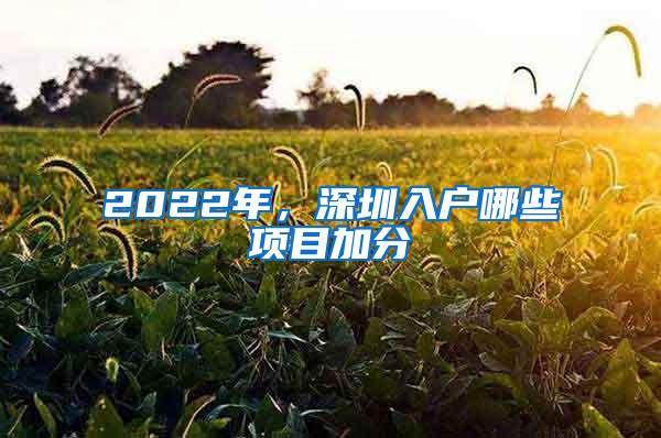 2022年，深圳入户哪些项目加分