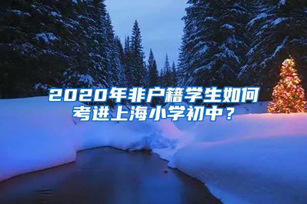 2020年非户籍学生如何考进上海小学初中？