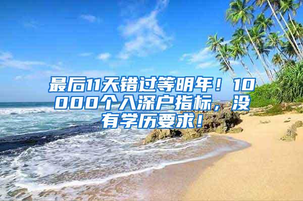 最后11天错过等明年！10000个入深户指标，没有学历要求！