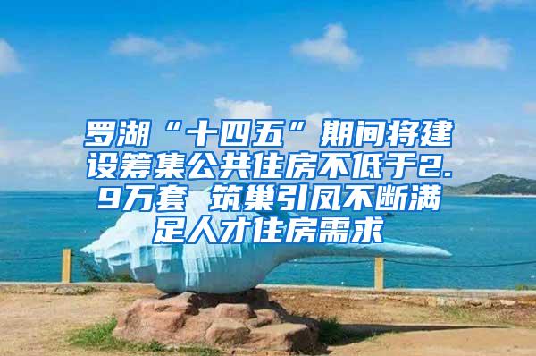 罗湖“十四五”期间将建设筹集公共住房不低于2.9万套 筑巢引凤不断满足人才住房需求