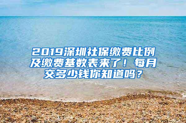 2019深圳社保缴费比例及缴费基数表来了！每月交多少钱你知道吗？