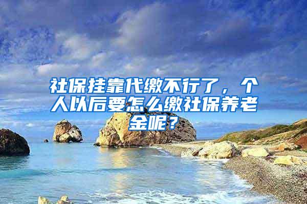 社保挂靠代缴不行了，个人以后要怎么缴社保养老金呢？