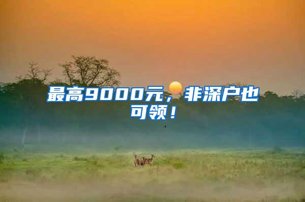 最高9000元，非深户也可领！