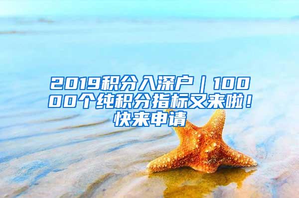 2019积分入深户｜10000个纯积分指标又来啦！快来申请