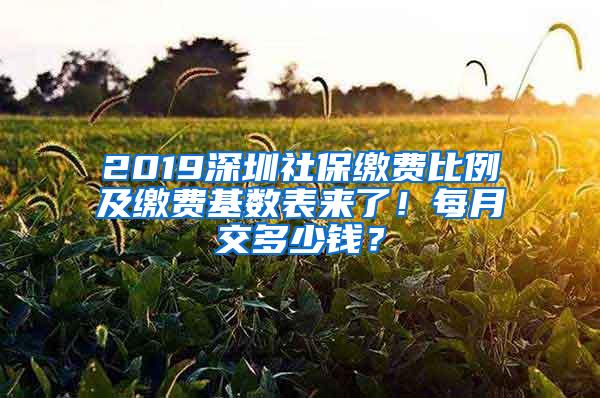 2019深圳社保缴费比例及缴费基数表来了！每月交多少钱？