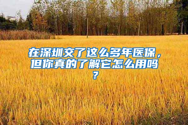 在深圳交了这么多年医保，但你真的了解它怎么用吗？