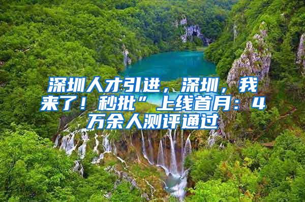 深圳人才引进，深圳，我来了！秒批”上线首月：4万余人测评通过