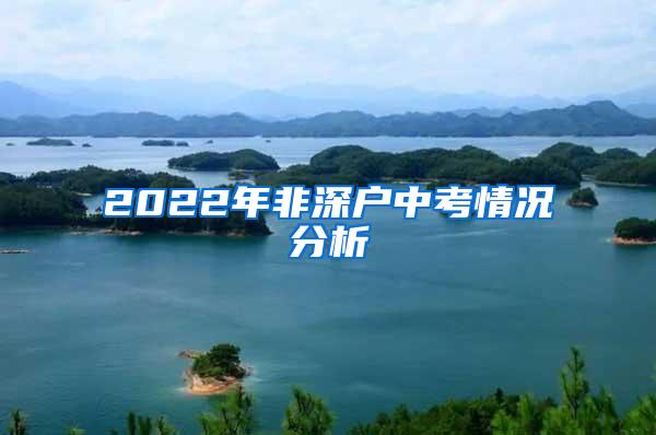 2022年非深户中考情况分析