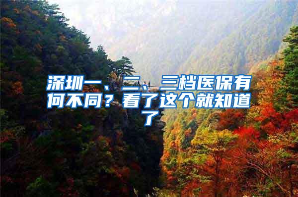 深圳一、二、三档医保有何不同？看了这个就知道了