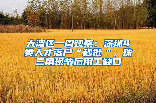 大湾区一周观察：深圳4类人才落户“秒批“，珠三角现节后用工缺口