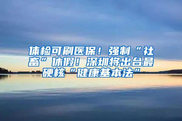 体检可刷医保！强制“社畜”休假！深圳将出台最硬核“健康基本法”