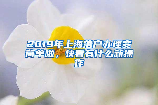 2019年上海落户办理变简单啦，快看有什么新操作